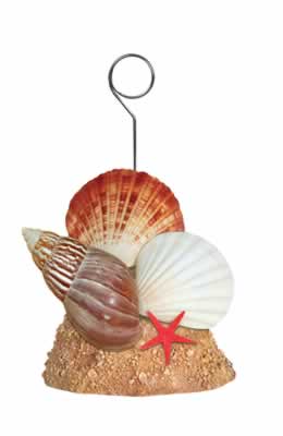 Beistle 50964 Seashell Photo And Balloon Holder - Pack of 6