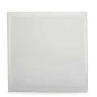 Porcelain Square Salad Plate