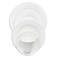 Fortessa Taura Bone China 5-Piece Dinnerware Set