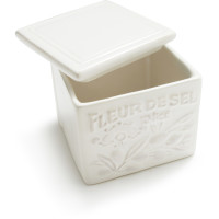 Provencal Stoneware Salt Box