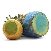 Fusionbrands® CoverBlubber Rubber Food Storage Covers