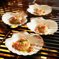 Sur La Table King Scallop Grilling Shells