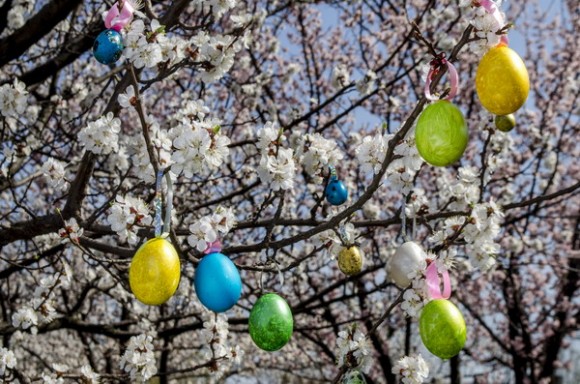Easter egg hanging on a tree
